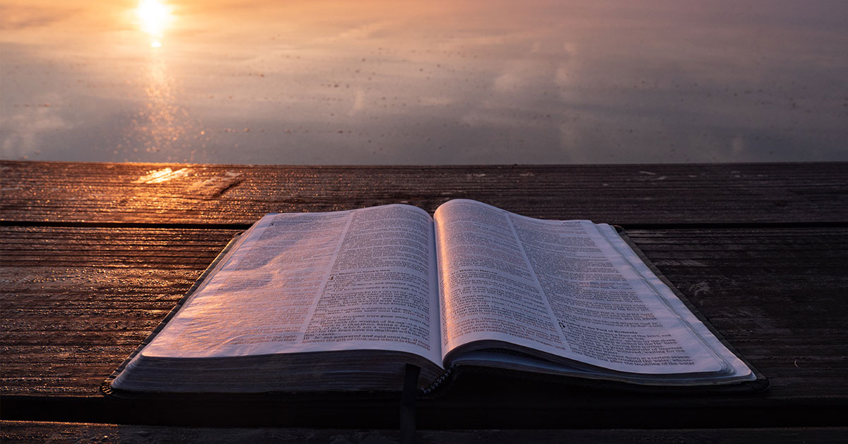 Die Godsbesluit deur Totius