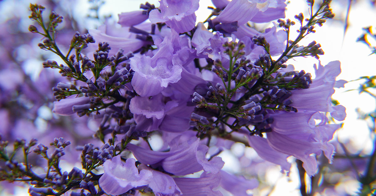 ’n Nuwe seisoen het aangebreek