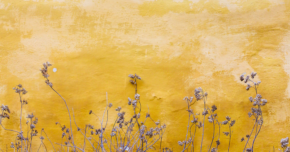 Muskietejag deur AD Keet