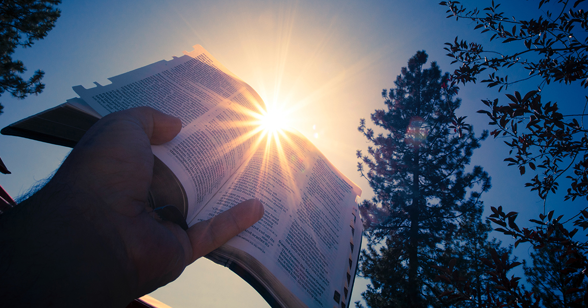 Rentmeesters op die skouers van reuse