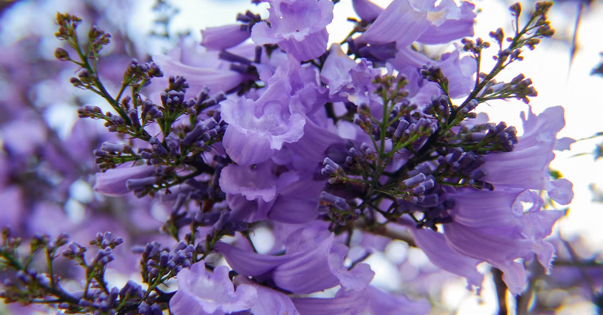 Neem uit die verlede …