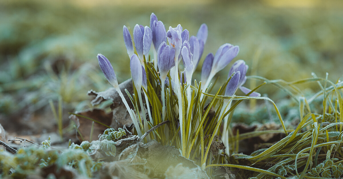 Salig is hulle wat treur