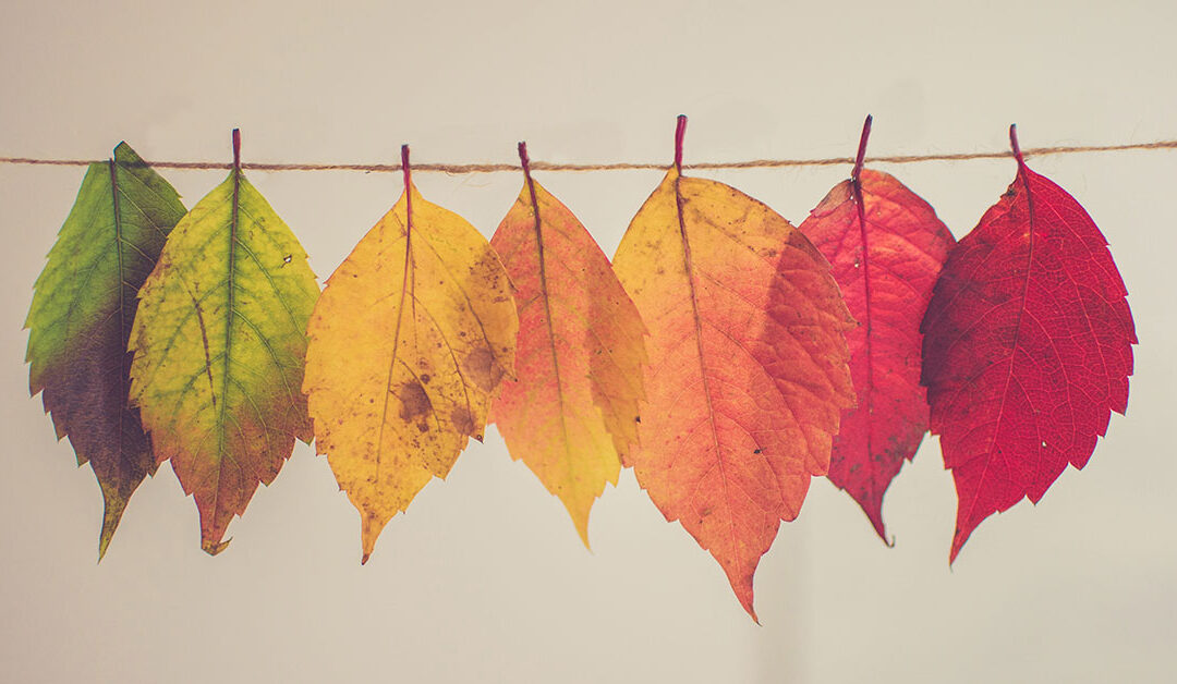 ‘n Wêreld van verandering