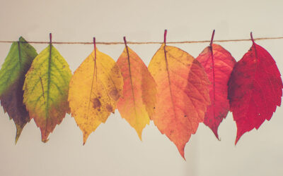 ‘n WĆŖreld van verandering