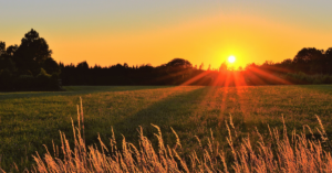 (Fotokrediet: Canva)