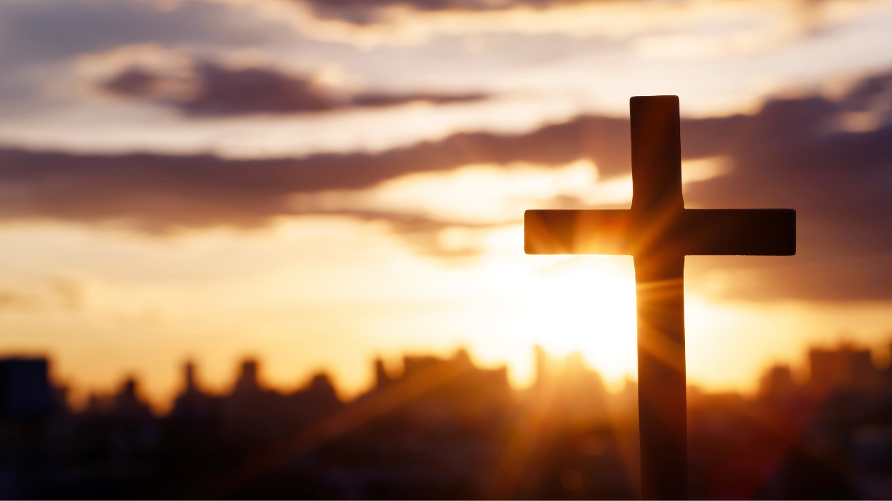 (Fotokrediet: Canva)