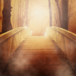 (Fotokrediet: Canva)