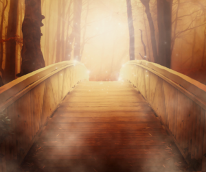 (Fotokrediet: Canva)