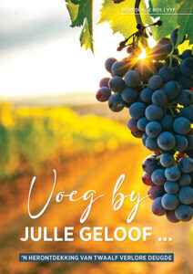 Voeg by julle geloof (366 Dagstukkies)